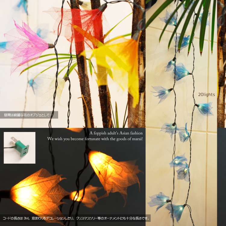 �꡼�ե������쥤�����饭�饬�����ɥ饤��MxD0600