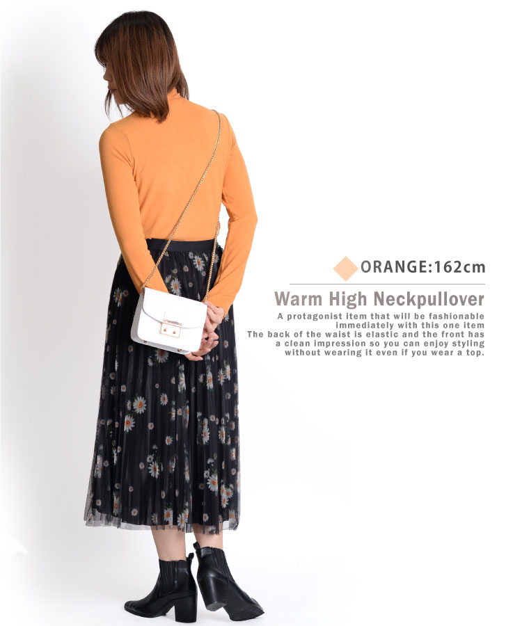 ��ʬ�򿧤Ǽ������ơ������ȥ�ͥå�Ĺµ���åȥ���