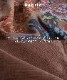 ���å��ʿ��礤�ǡ��ץ��Ȳ����ѡ��������ԡ���