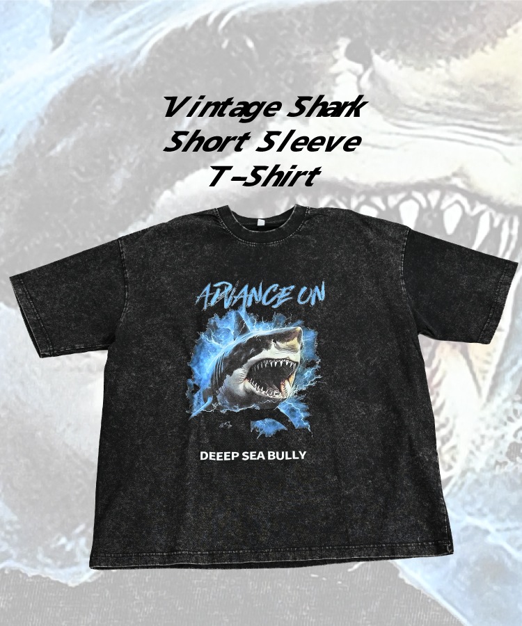 1_000000004951.jpg?1718176539