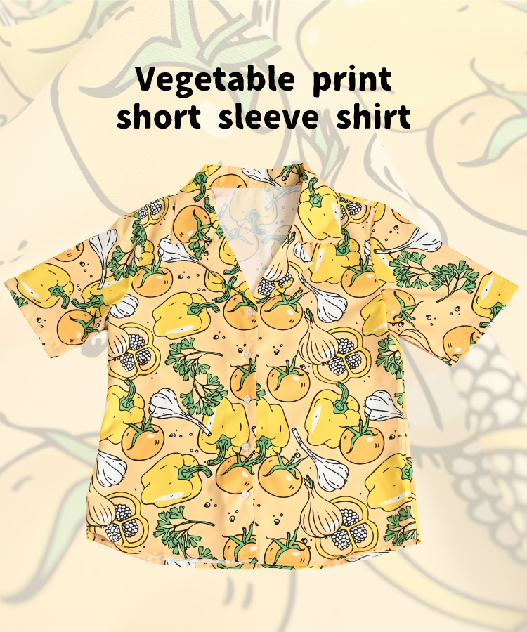 ϥ ߥ  ǥ  İڥ饹ȰColorful٥֥Ⱦµ ե   Ⱦµ  ȥޥ ѥץꥫ ˥ å 