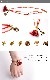����Ū�ʥܥإߥ���ǥ����󡣥��å���3Ϣ�֥쥹��å�