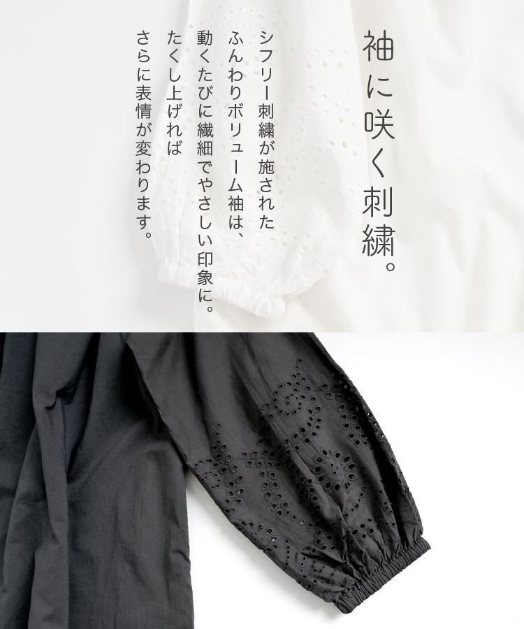 ���ԡ��� ��ǥ����� Ĺµ µ�˺餤����������ȡ�����ɥ��åȥ���ԡ��� �ɽ� ���ե꡼ ���󥰾� ���� ���� ��ä��� �η����С� �� �� �� ��100�� �� �ۥ磻�� ������ ���㥳���� �ʥ�����