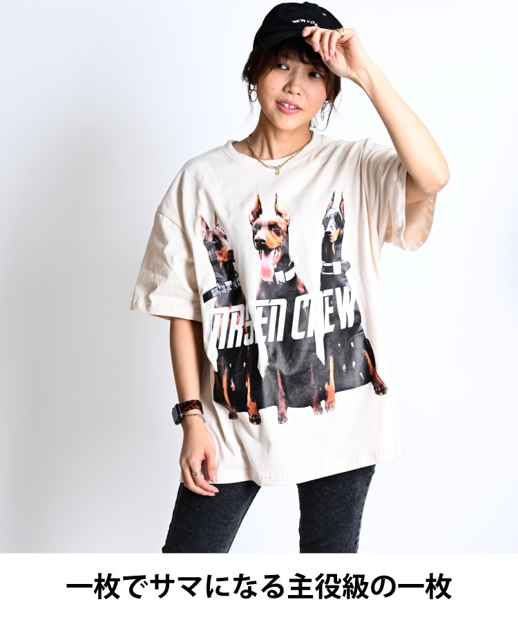 ����ѥ��Ȥ��ڤ��롣�ɡ��٥�ޥ�ե���T�����