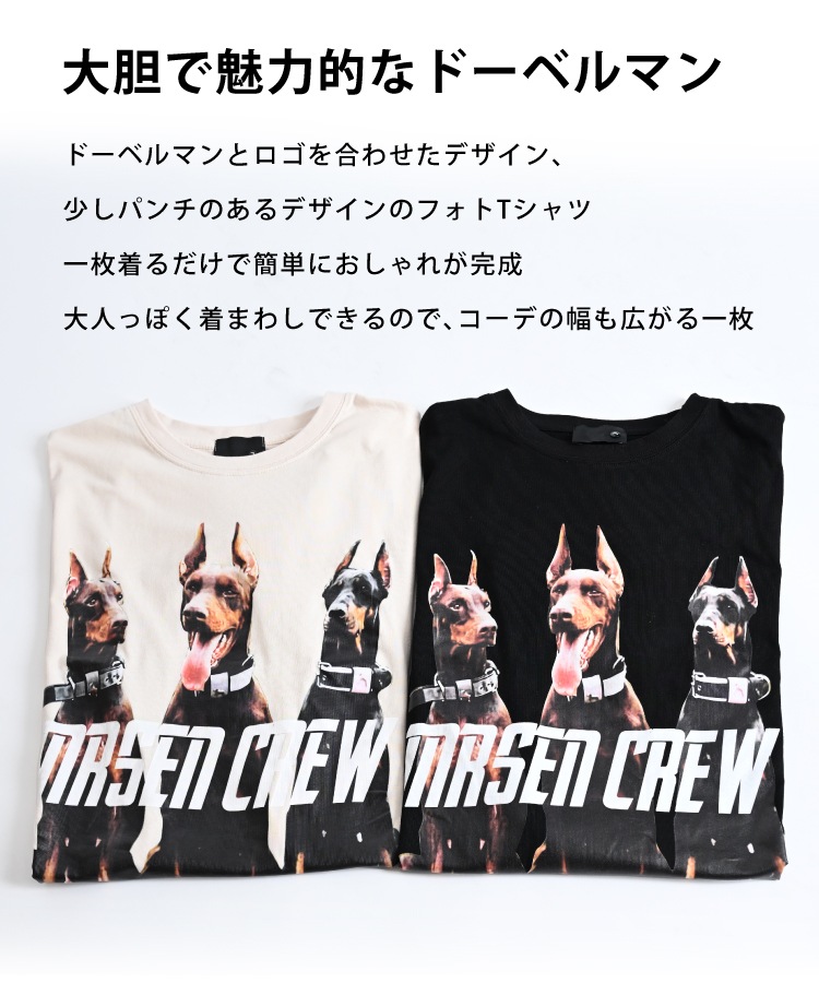 ����ѥ��Ȥ��ڤ��롣�ɡ��٥�ޥ�ե���T�����