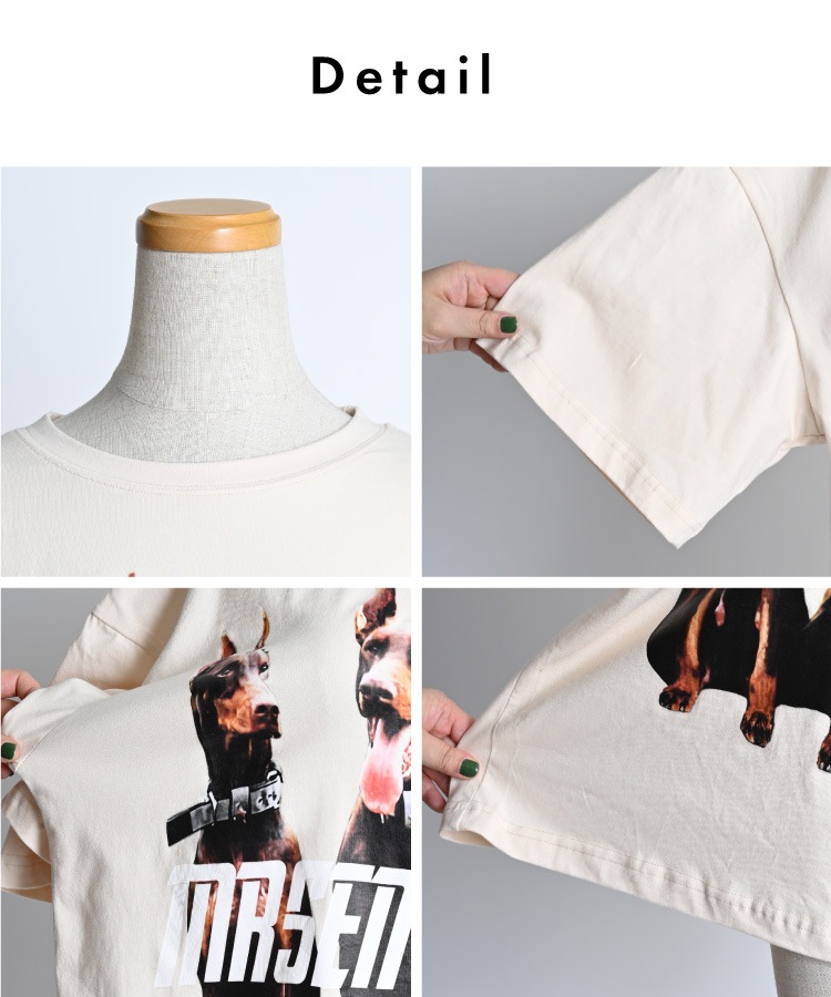 ����ѥ��Ȥ��ڤ��롣�ɡ��٥�ޥ�ե���T�����