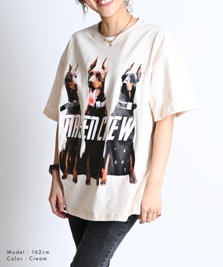 ����ѥ��Ȥ��ڤ��롣�ɡ��٥�ޥ�ե���T�����