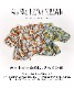 ��ͥ��å��ʲ�����ź���ơ�����Ⱦµ���åȥ���
