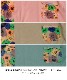 モダンな大人の可愛らしさ。花柄半袖Tシャツ の別カット