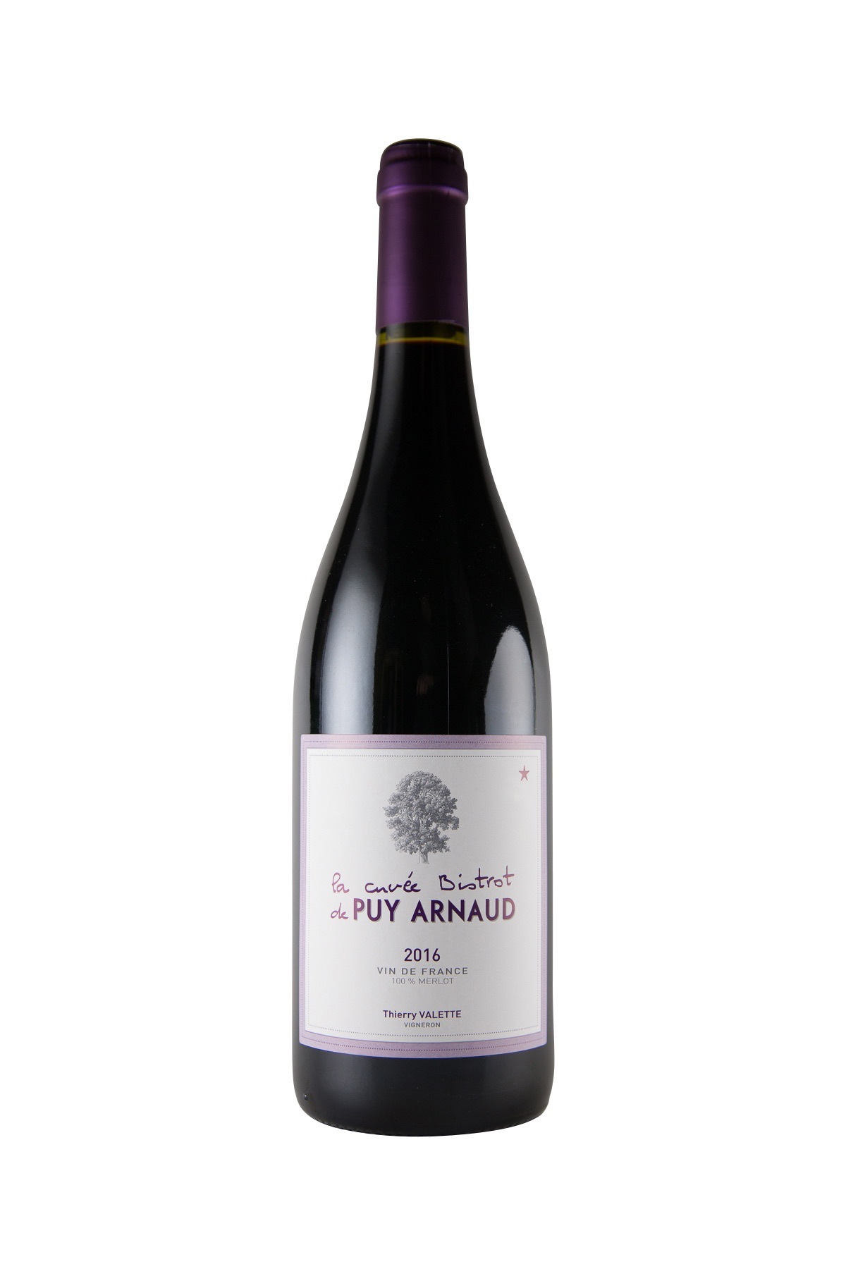 �������ԥ奤������Ρ�/�顦����������ӥ��ȥ����ɡ��ԥ奤������Ρ�