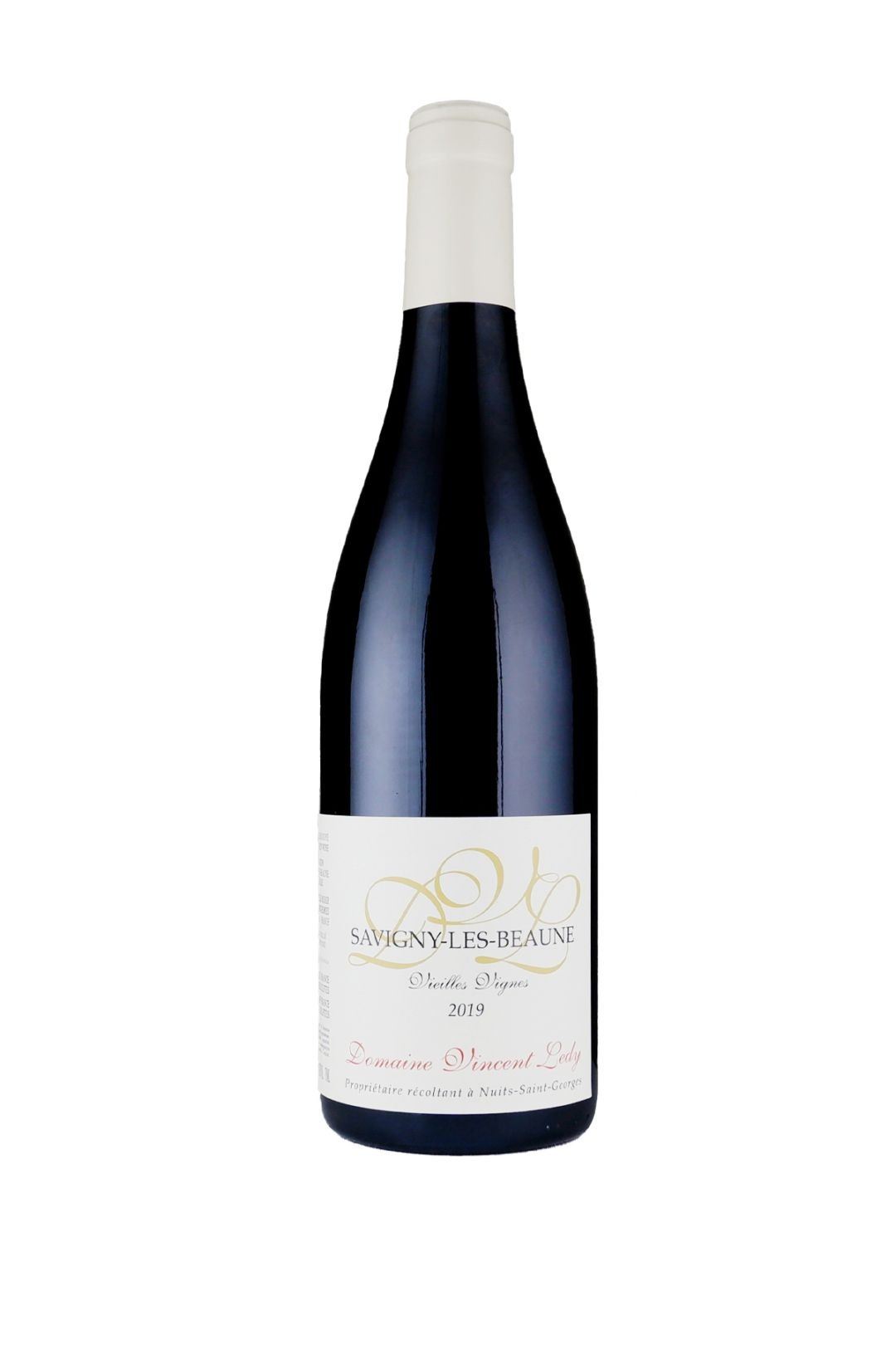 󥵥󎥥ǥ / ˡ쎥ܡ̎接˥ 2021