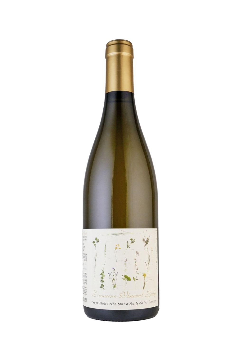 �����󥵥󎥥�ǥ� / �֥르���˥厥���ꥴ�Ǝ��쎥����������