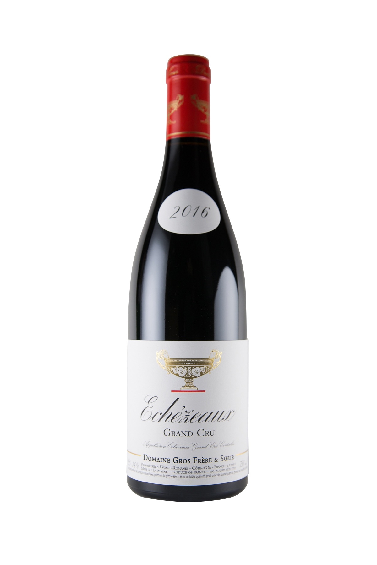 ���펥�ե졼�뎥����������/����������������󎥥���� 2021