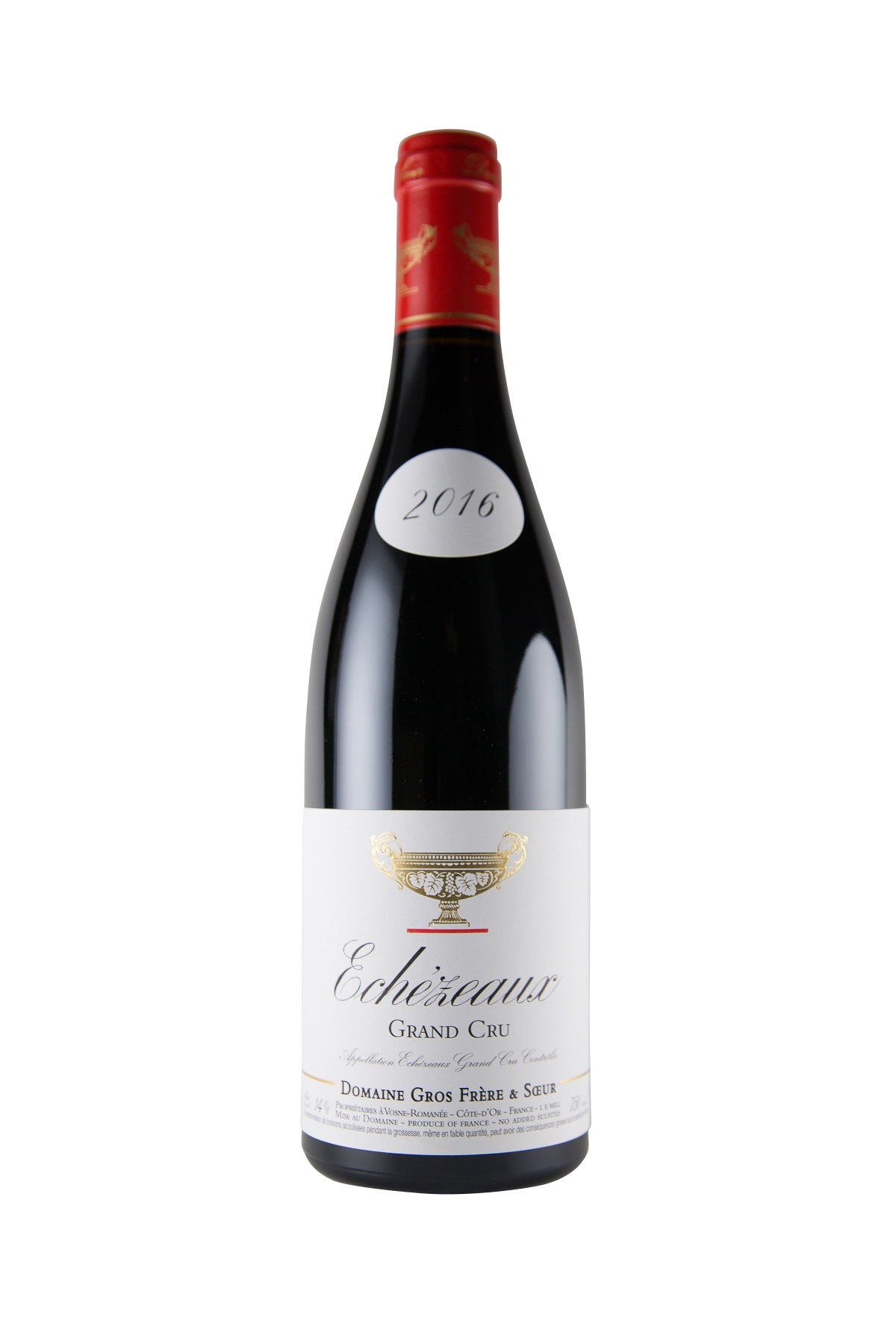 ���펥�ե졼�뎥����������/����������������󎥥���� 2022