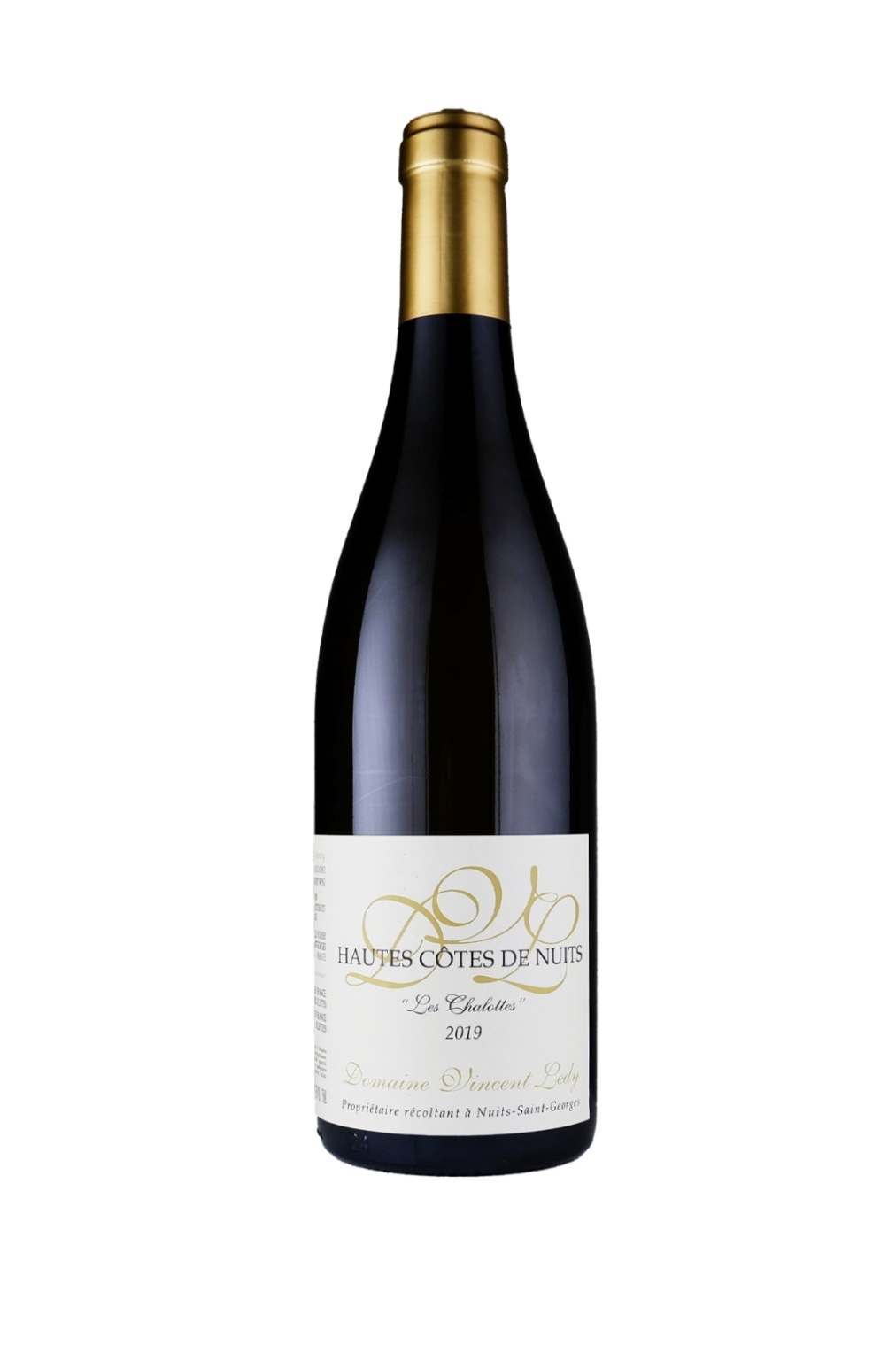 󥵥󎥥ǥ / ֥르˥厥֥󎥥ȎȎɎ˥奤쎥å 2021