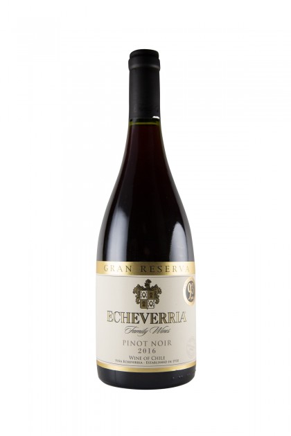 �����������ꥢ/�ԥΎ��Υ�뎥����󎥥쥼�������