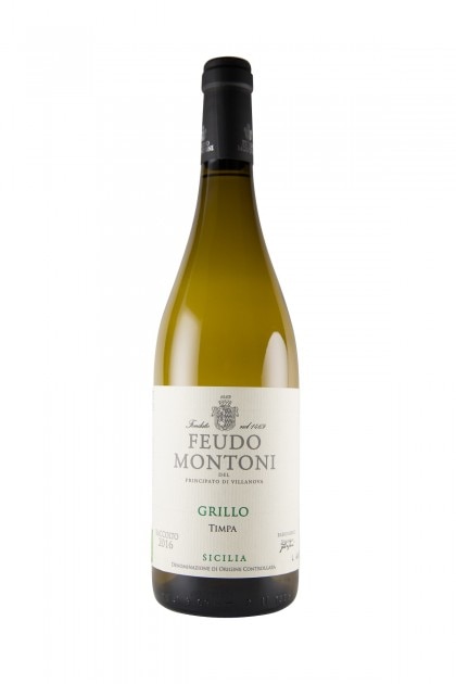 �ե����ɡ����ȡ���/����å펥�ǥå鎥�ƥ���� 2024