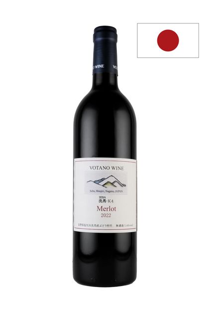 �ڥ����ԥå�������10%OFF�ۥ��������Υ磻�� / ������