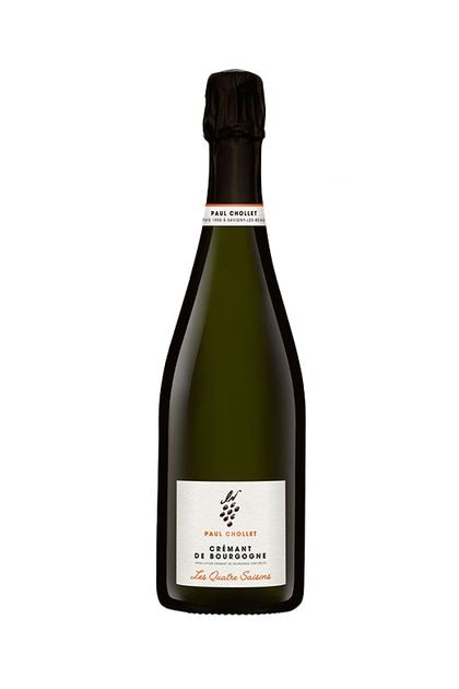 �ݡ��롦����졿����ޥ󎥥Ɏ��֥르���˥厥�֥��å�