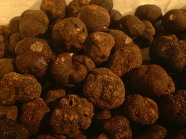 �ե�å��塦���٥åȻ������ȥ�����200�硡��¡�����