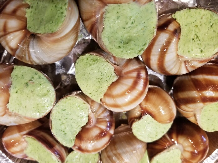 ���२�����르���֥륮�˥��Х������ꡡ������