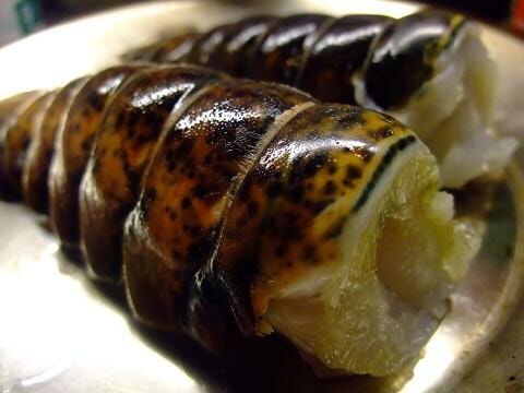 ����Х󡡥������ߥ�������240�硡��3��5��������ȥ�ȥѥ������ﲹ��