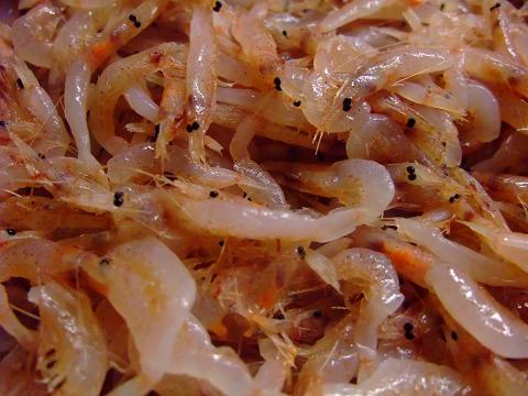 ������̣�����������Ӥ�����200��ѥå������ɿ��� ���ѻ�