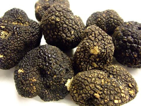 �����ꥢ�������ॵ�ޡ��ȥ��ա���100��