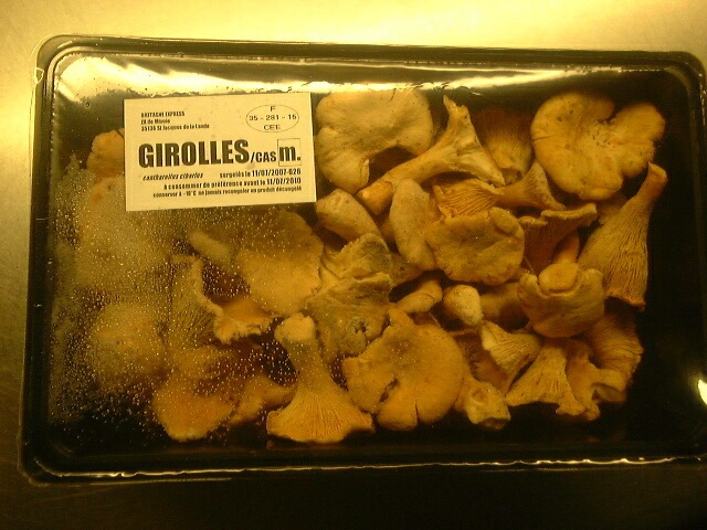 �衼���åѻ������㥹��CAS)�Υ������롡500�硡�ѥå����ꡡL������