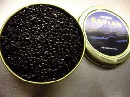 ���ࡡ����ӥ����ե�󥹻���100�硡���륫��ҡ��ڳڥ���_�����ۡڳڥ���_�Τ������