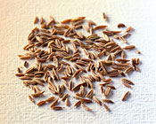 ٥塼롡ͥۥ磻ȡ祳졼ȡʥ29ˡ190gѥåѹͽ