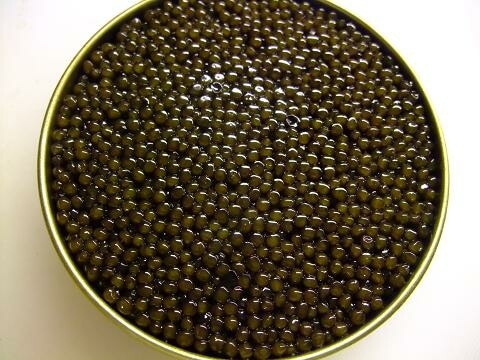 ���(�ե�󥹲ù��ˡ�����ӥ������ꥹ����ʥ����󥭡ˡڳڥ���_�����ۡڳڥ���_�Τ�����ۡ�100��