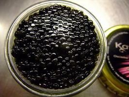 �����ꥢ�����֥륬�ꥢ���������ȥ�ʥ������ȥ�ˡ�����ӥ���30�硡�ѥå������ѹ�