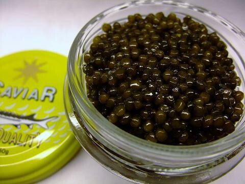 �ե�å��塡���������������ȥ�ʥ������ȥ�ˡ�����ӥ��� 50g���ڳڥ���_�����ۡڳڥ���_�Τ������