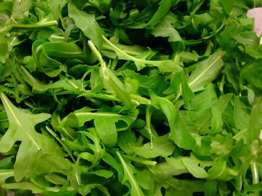 �����ꥢ������å���ʥ롼����ˡ�����Х����ʥ���Хƥ�����250�硡̣����꤬�㤤�ޤ���