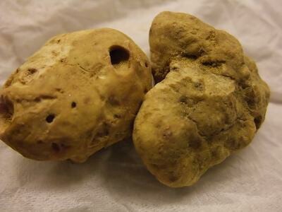 �����ꥢ���ʥ���С˺ǹ�����ȥ��� ��40�����30�����50������ˡ��̤���꾦�ʡ����轵������ͽ��