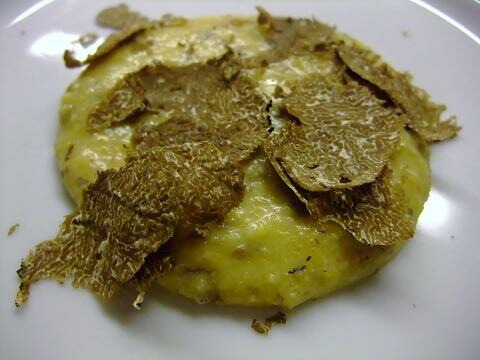 ꥫ֥롼ȥ顡եå塡ӥ100̡ڳڥ_ۡڳڥ_Τ