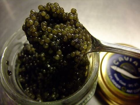 ����ꥫ���� ŷ���ѥɥ�ե��å��� ����ӥ���18�硡����¢�����륫��ҡ��ڳڥ���_�����ۡڳڥ���_�Τ������