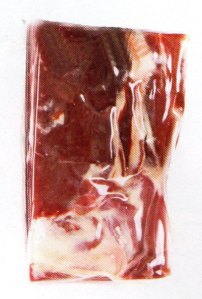 �ϥ�󡡥��٥ꥳ���٥��硼������1���֥��å��˥��٥ꥳ�����ϥࡡ�ȥ쥪��ҡ�TORREON��