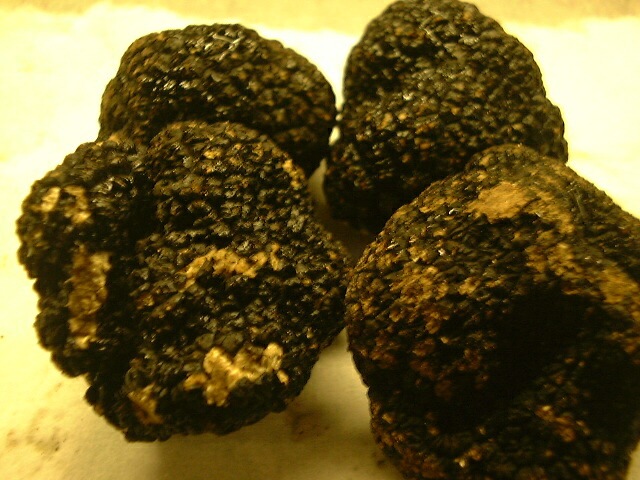 �����ꥢ�����ϥե�󥹻����ǹ�顡���ȥ�����200���160���240������ˡ��̤���꾦��