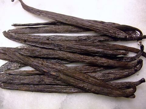 ��¢�����ò����ޥ��������뻺 �Х˥�ʥ����˥�˥ӡ��󥺡�������45�����ꡡ��11��15�ܡ��ե�å���