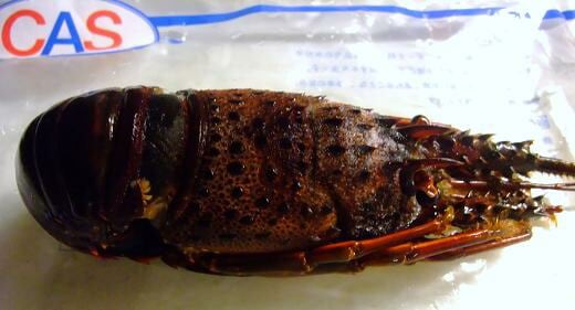 CAS�ʥ��㥹�����ࡡ�Ų����²λ�����������Ϸ����1ɤ����250��300�硡������