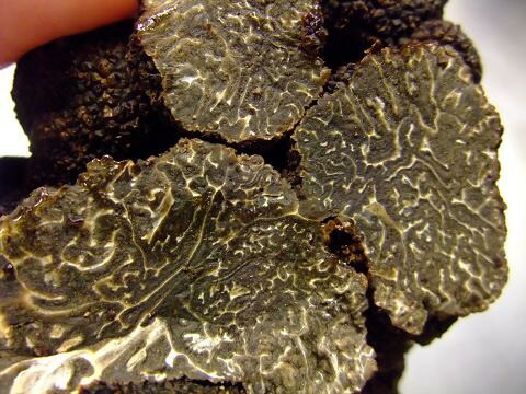 �ե�å��塡�����ߡ˥ȥ��ա��������ȥ�ꥢ���ޥ󥸥ޥå׻�����150�硡31320��/100����ǹ��ߡˡ��̤���꾦�ʡ��轵��ȯ��ͽ�ꡡ8��餤�ޤǡ�