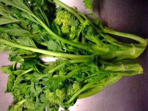 �����ꥢ���������ޡ��ǥ�����ѡʥ����ޡ��ǡ���ѡ���500��