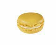 �ե�󥹻��ޥ����󡡥���إ��ȥ���١���̳�ѡ�48�ġ�������˥֥�ɡ����