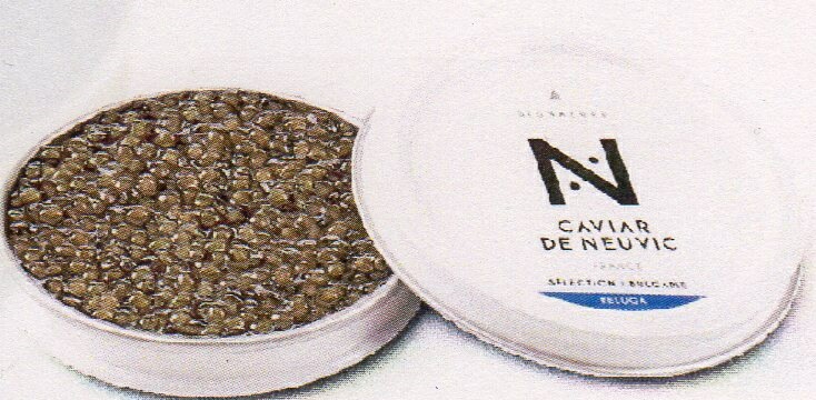 �֥륬�ꥢ��������ӥ���BELUGA���٥롼�� ���ʥե�å����50�硡�̡������å�