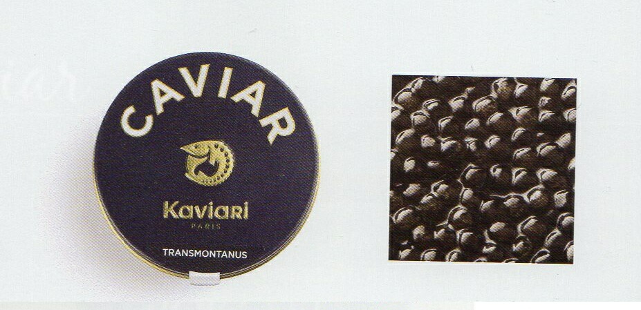 �����ꥢ������ӥ����ȥ�󥹥�󥿡��˥塡����ӥ��ꡡ100�硡�������祦����