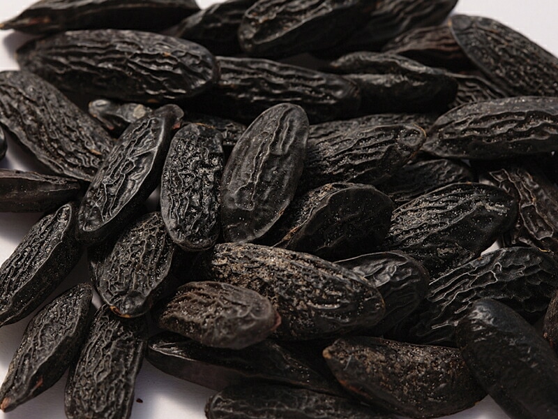 �ȥ�Ʀ��250�硡�ۡ��롡�Х˥������ˡ��֥饸�뻺¾