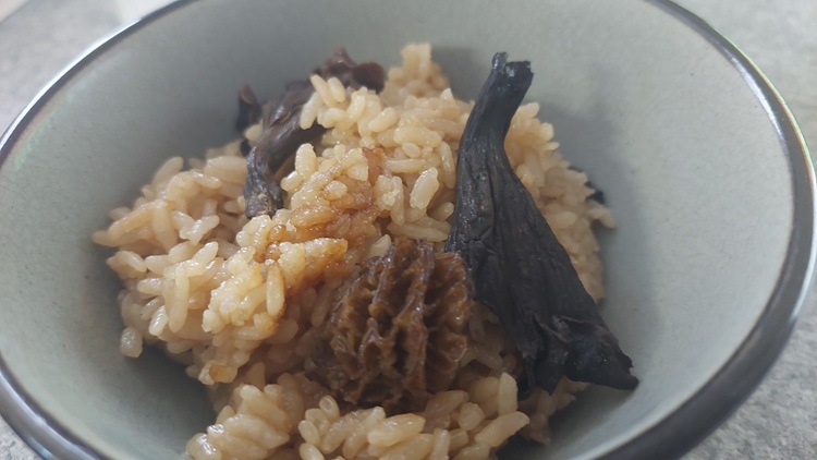 �ɥ饤��꡼�桡20�硡���Τ��������ߥ��������������˼ѹ��ߤ�