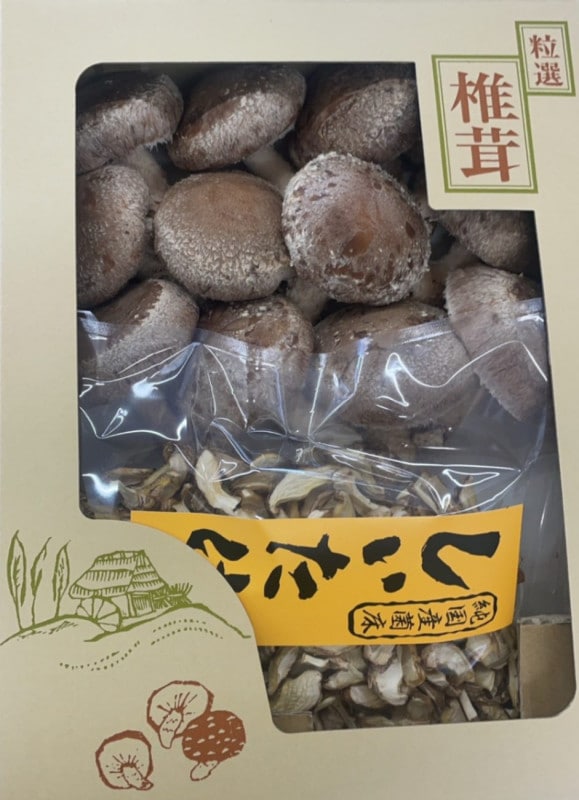 �����������å�